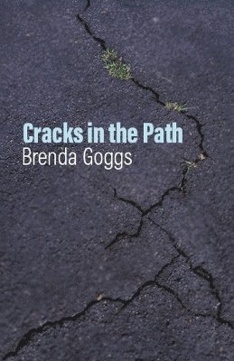 Cracks in the Path 1