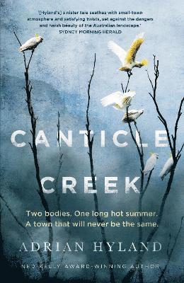 Canticle Creek 1