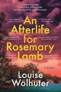 bokomslag An Afterlife for Rosemary Lamb