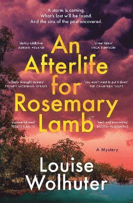 bokomslag An Afterlife for Rosemary Lamb