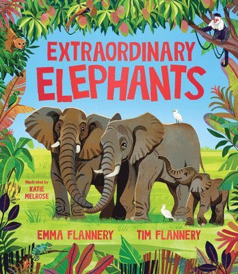 Extraordinary Elephants 1