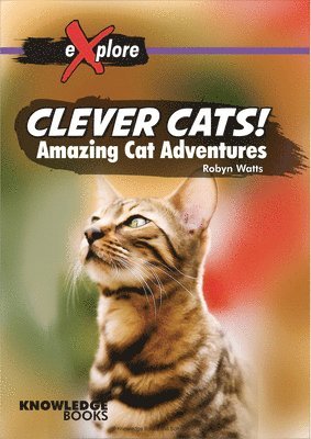 Clever Cats!: Amazing Cat Adventures 1
