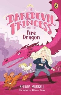 bokomslag Daredevil Princess and the Fire Dragon