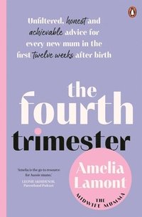 bokomslag Fourth Trimester