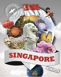 bokomslag Singapore