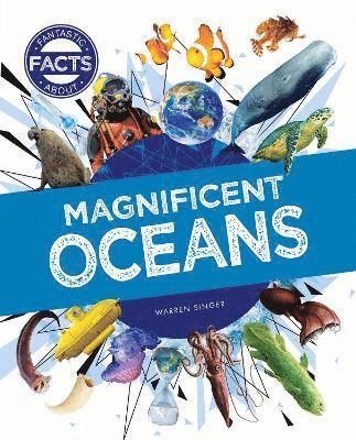 Magnificent Oceans 1