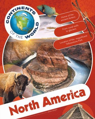 bokomslag North America