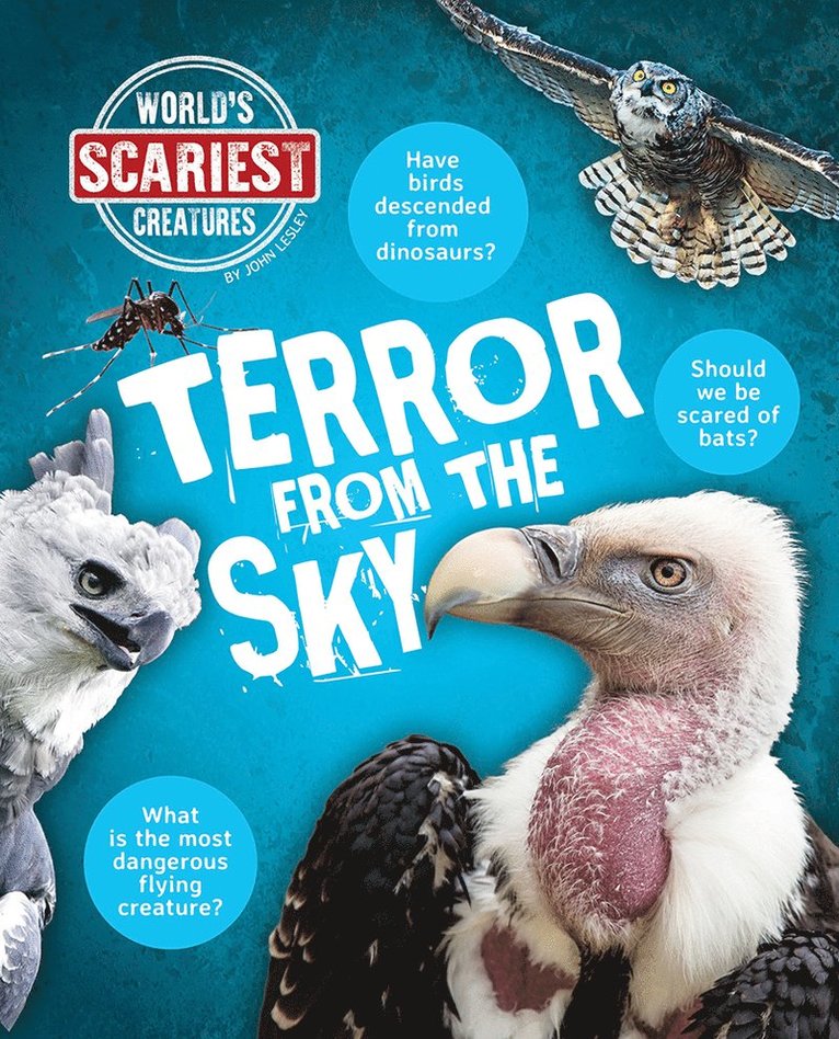 John Lesley - Terror From the Sky, Inbunden