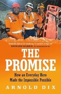 bokomslag Promise