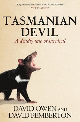 bokomslag Tasmanian Devil