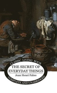 bokomslag Secret of Everyday Things