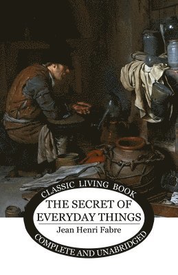 bokomslag The Secret of Everyday Things