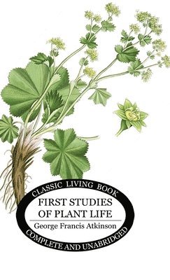 First Studies of Plant Life 1