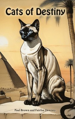 Cats of Destiny 1