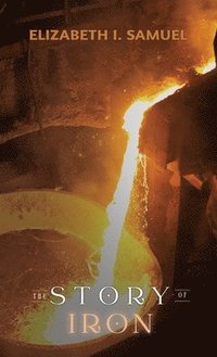 bokomslag Story of Iron