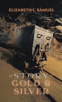 bokomslag Story of Gold and Silver