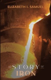 bokomslag Story of Iron