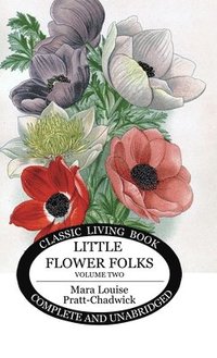 bokomslag Little Flower Folks 2