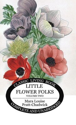 bokomslag Little Flower Folks 2