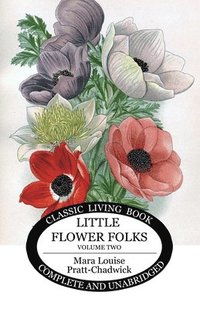 bokomslag Little Flower Folks 2