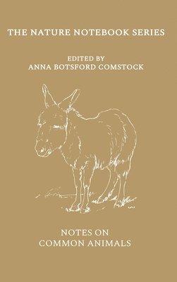Notes on Common Animals