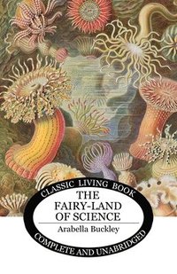 bokomslag Fairy-Land of Science
