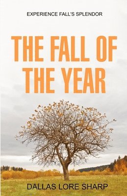 Fall of the Year
