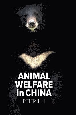 bokomslag Animal Welfare in China