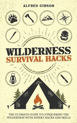 bokomslag Wilderness Survival Hacks