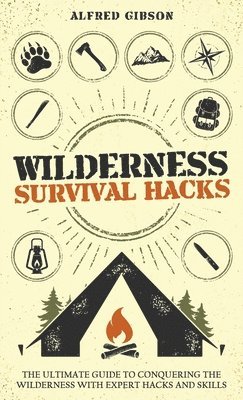 bokomslag Wilderness Survival Hacks