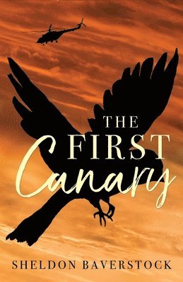 bokomslag First Canary
