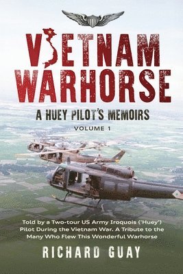 Vietnam Warhorse 1