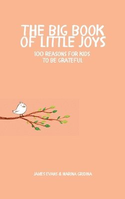 bokomslag The Big Book of Little Joys