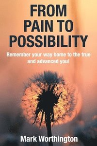 bokomslag From Pain To Possibility