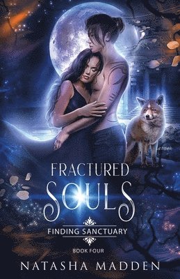 Natasha Madden - Fractured Souls, Häftad