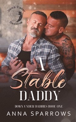 bokomslag Stable Daddy