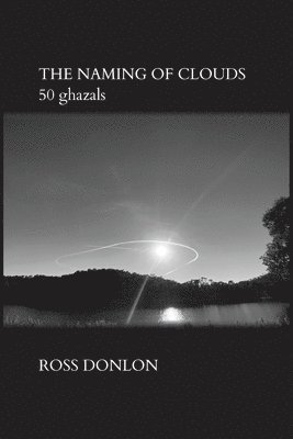 Ross Donlon - Naming of Clouds, Häftad