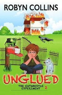 bokomslag Unglued
