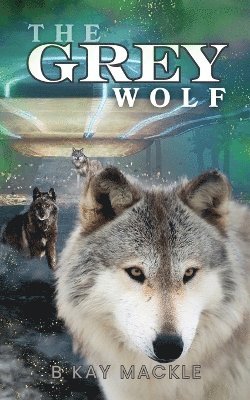 B Kay Mackle - Grey Wolf, Häftad