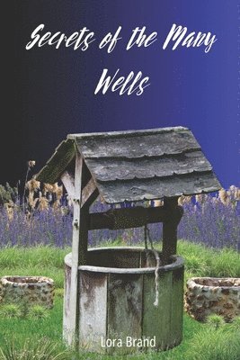bokomslag Secrets of the Many Wells