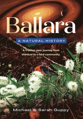 Ballara 1