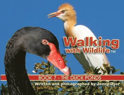 Walking with Wildlife - Book 7