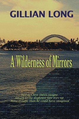 bokomslag Wilderness of Mirrors