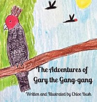 bokomslag The Adventure of Gary the Gang-gang