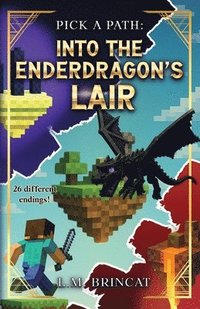 bokomslag Into the Enderdragon's Lair