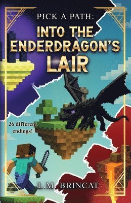 bokomslag Into the Enderdragon's Lair