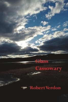 bokomslag Glass Cassowary