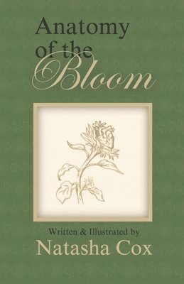 Anatomy of the Bloom 1