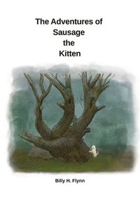 bokomslag Adventures of Sausage the Kitten