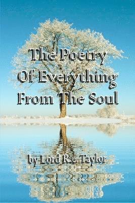 bokomslag Poetry Of Everything From The Soul
